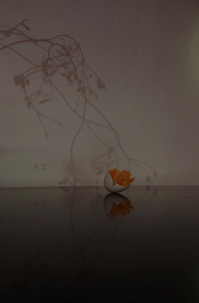 Photograph by ljubov robaltsenko