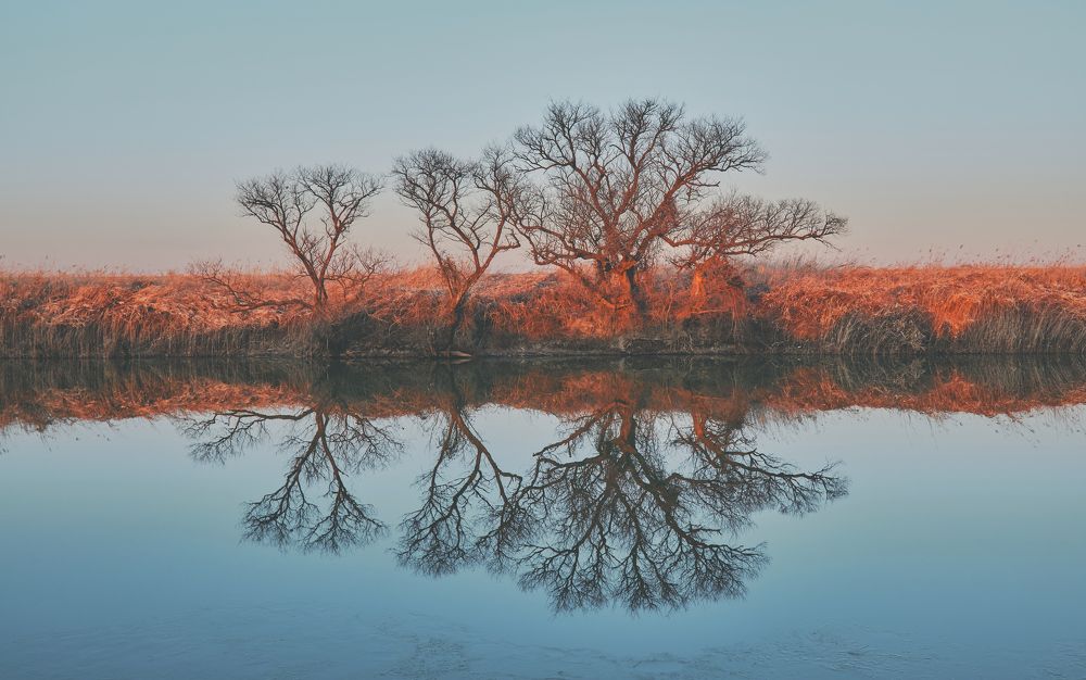 Photograph by ManhCuong Truong
