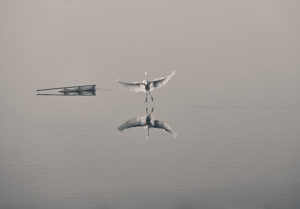 Photograph by ManhCuong Truong