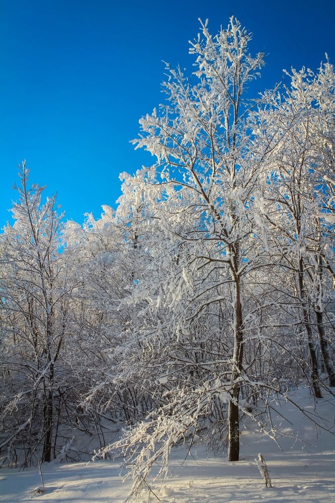 Photograph by Анастасия Маракина