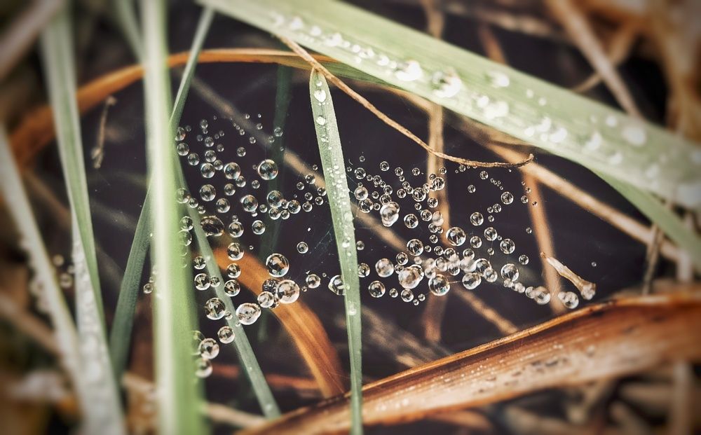 Photograph by Victoriia