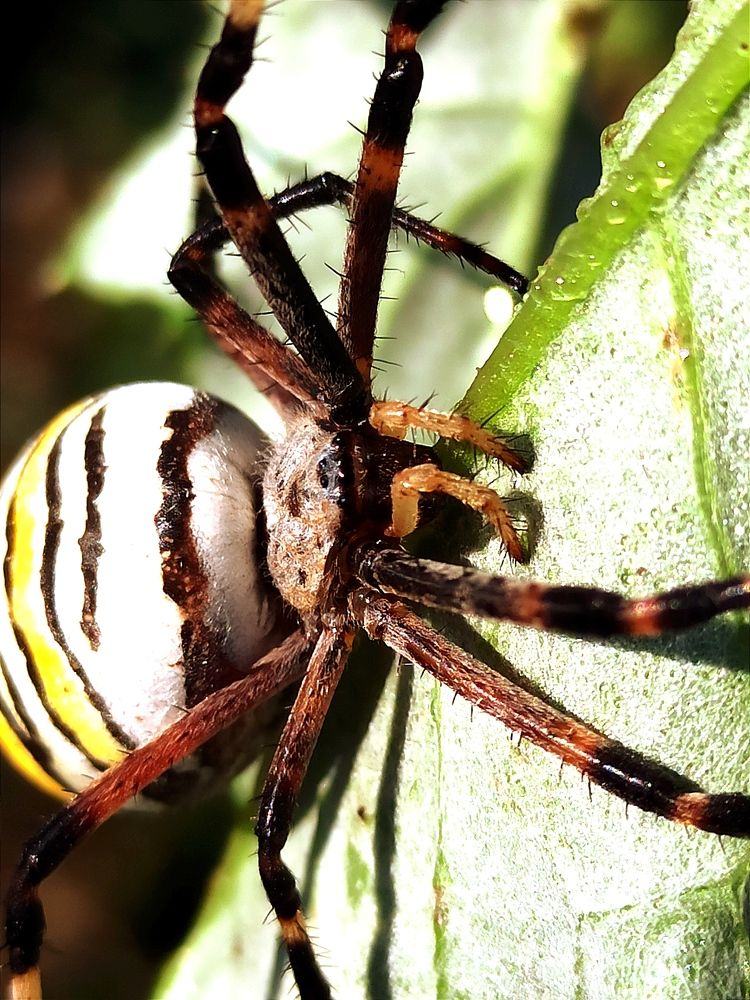 Фотография автора Татьяна Долгушева