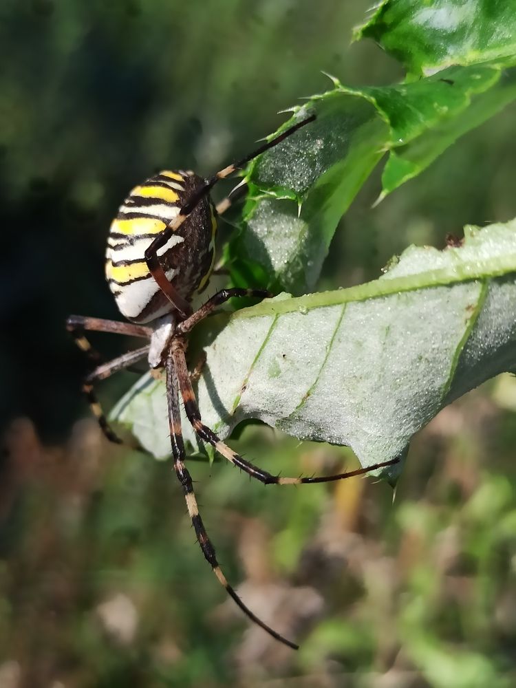Фотография автора Татьяна Долгушева