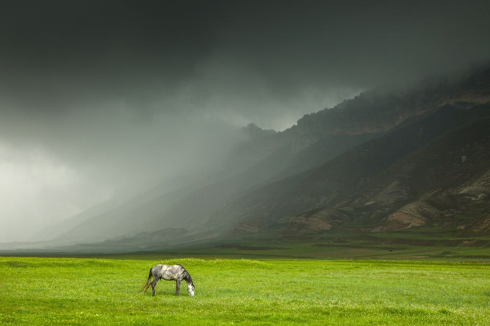 Photograph by Елена Покрепа