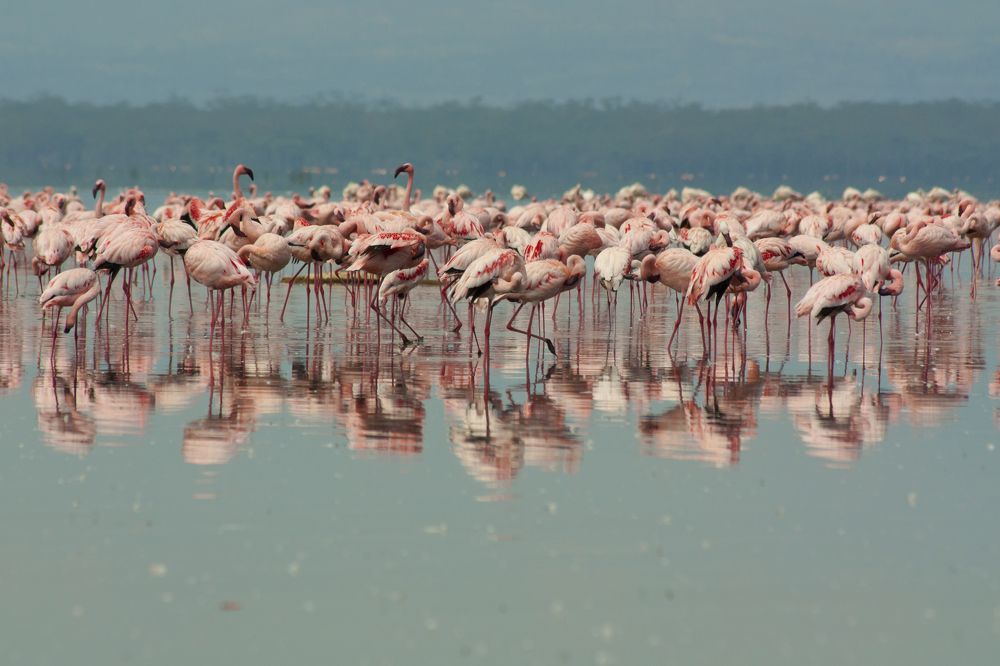 Photograph by Светлана Барабанщикова