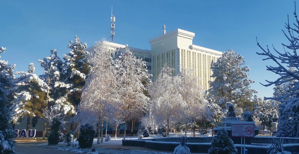 Photograph by Yuriy  Korsuntsev