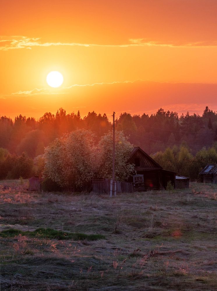 Photograph by Фархад Садыкахунов