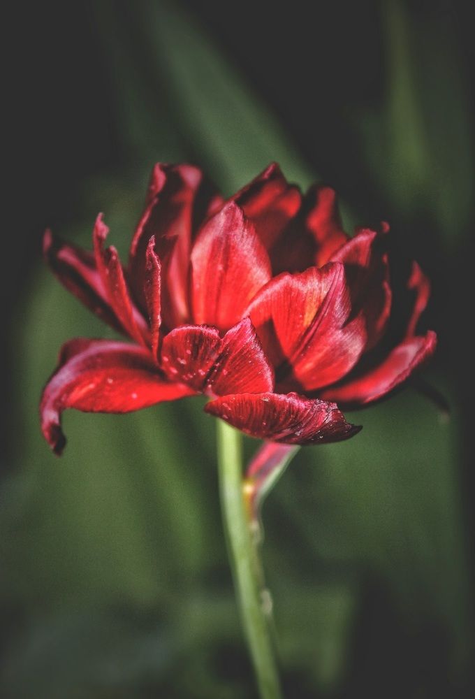 Photograph by Анастасия Маракина