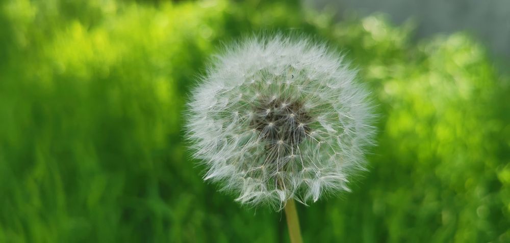 Photograph by Yuriy  Korsuntsev