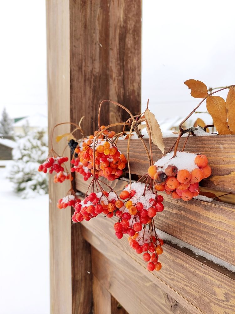 Photograph by Светлана Холодова