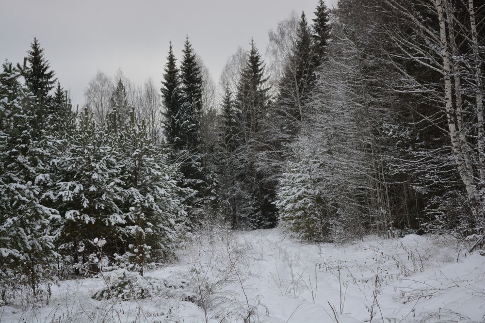 Photograph by Халуторных Мария