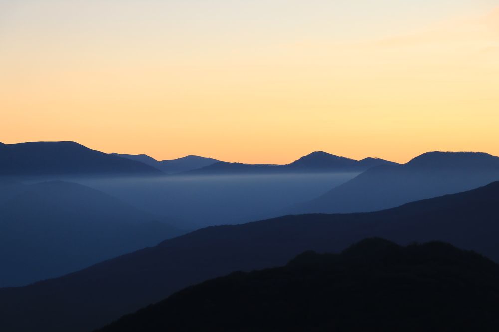 Photograph by Дарья Дрыночкина