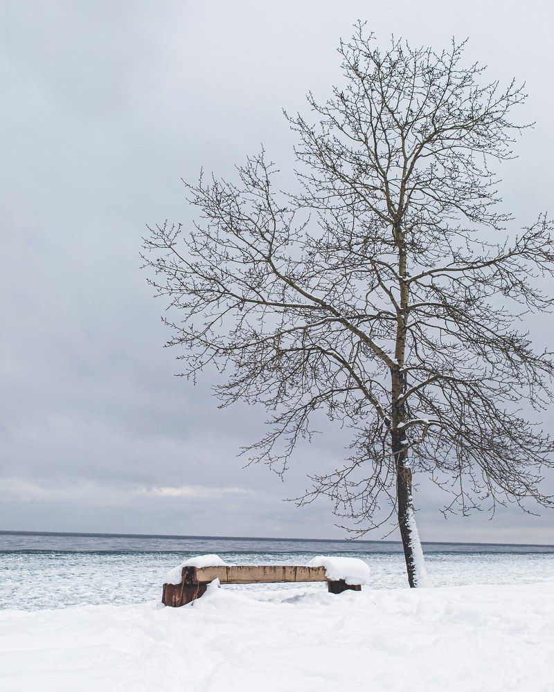 Photograph by Евгений Крюков