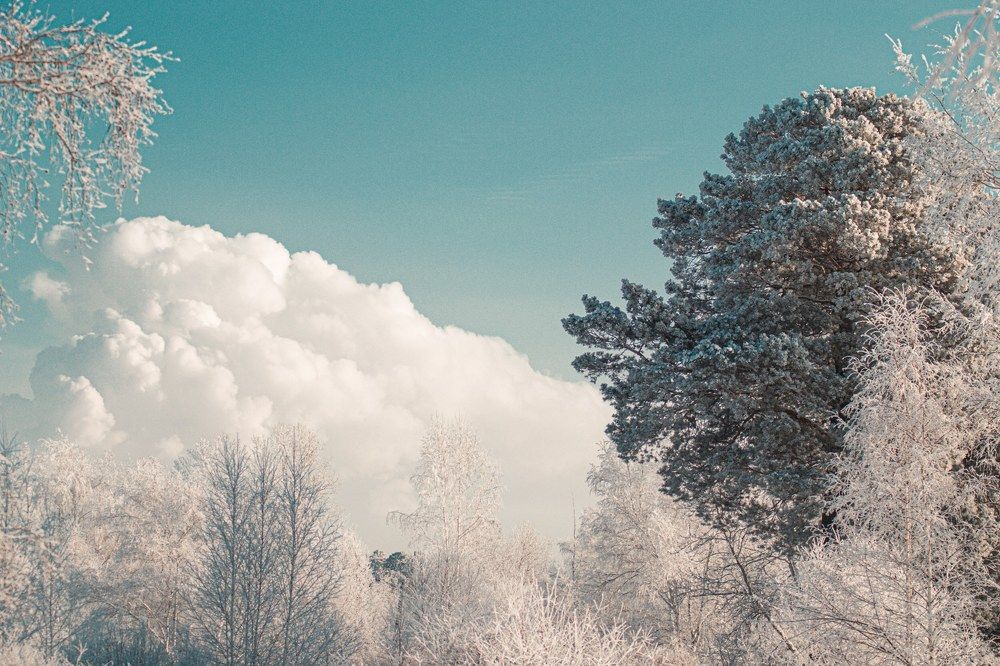 Photograph by Евгений Крюков