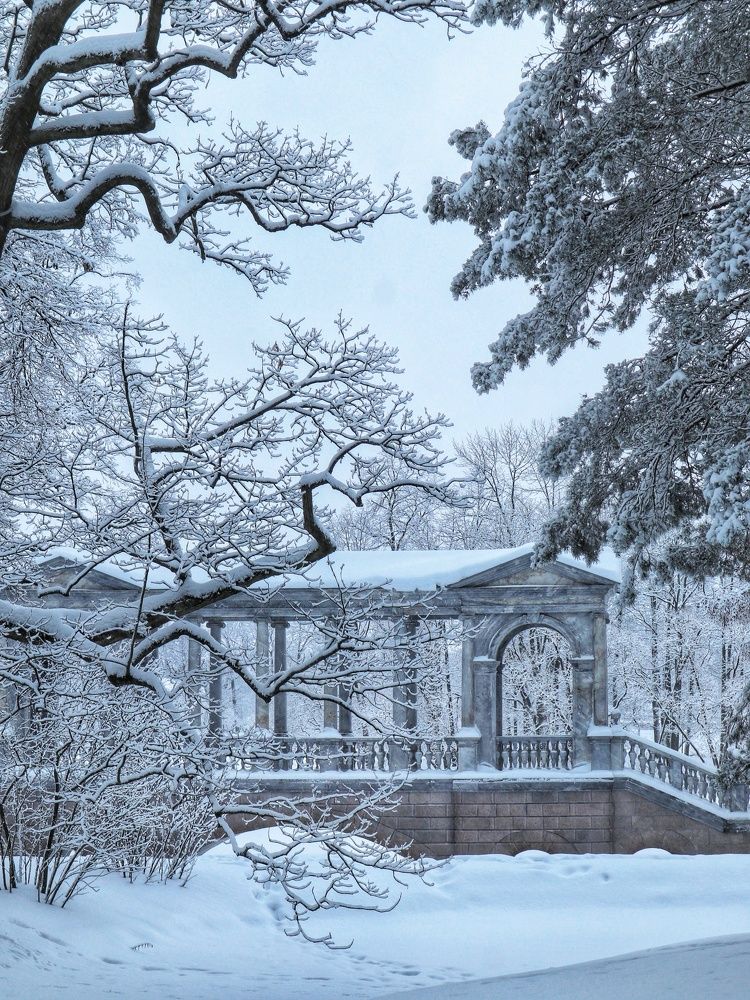 Photograph by Светлана Попова