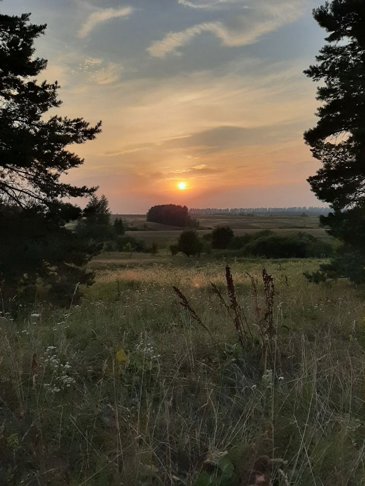 Photograph by Марина Слепова