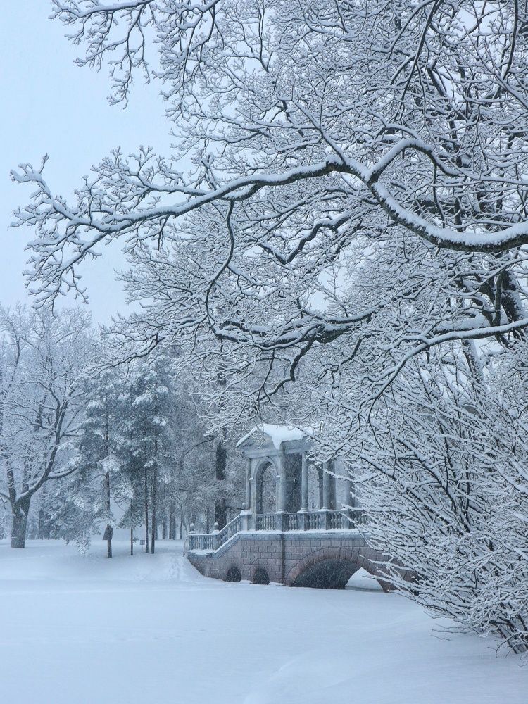 Photograph by Светлана Попова