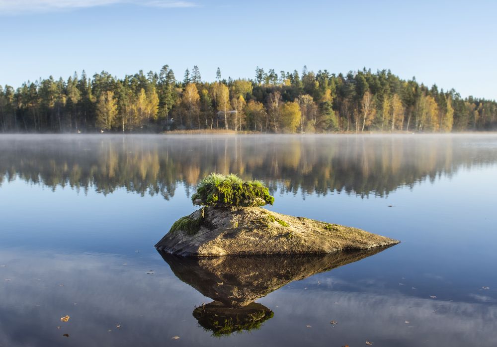 Fall morning in Sweden