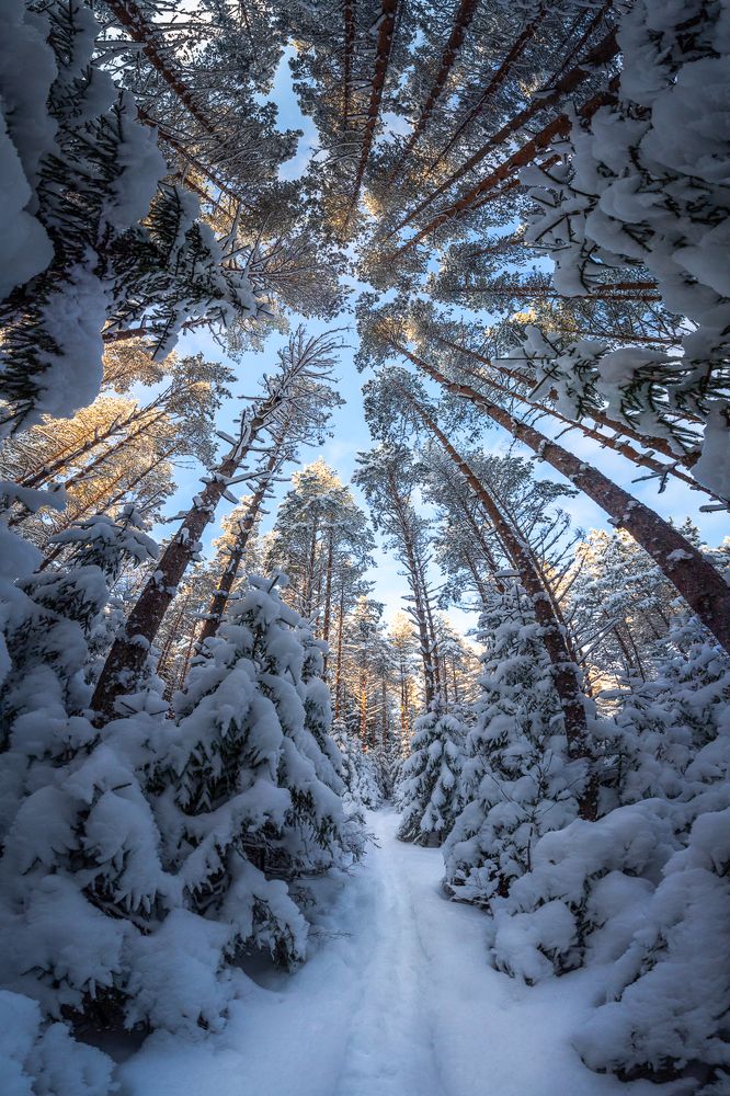 Photograph by Евгений Луцко