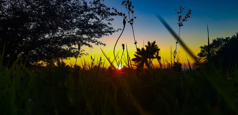 Photograph by Sonne Zavalova