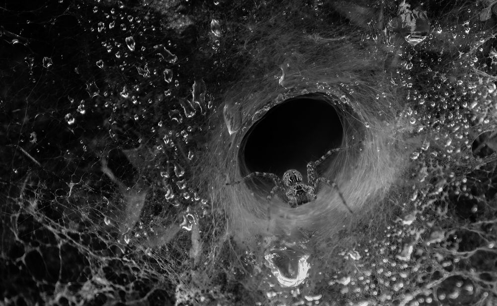 Photograph by Harsha Matarage