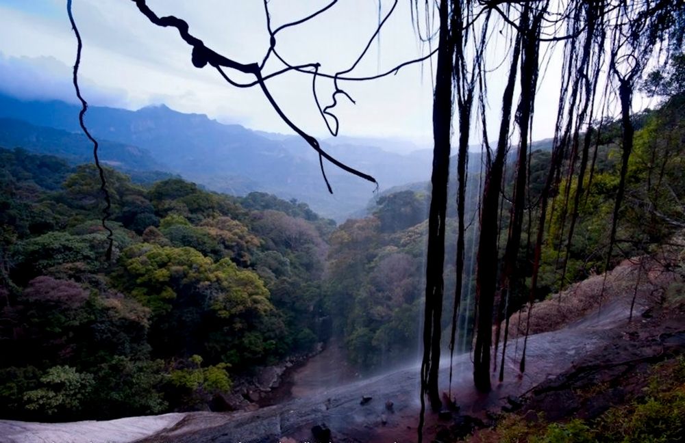 Photograph by Harsha Matarage