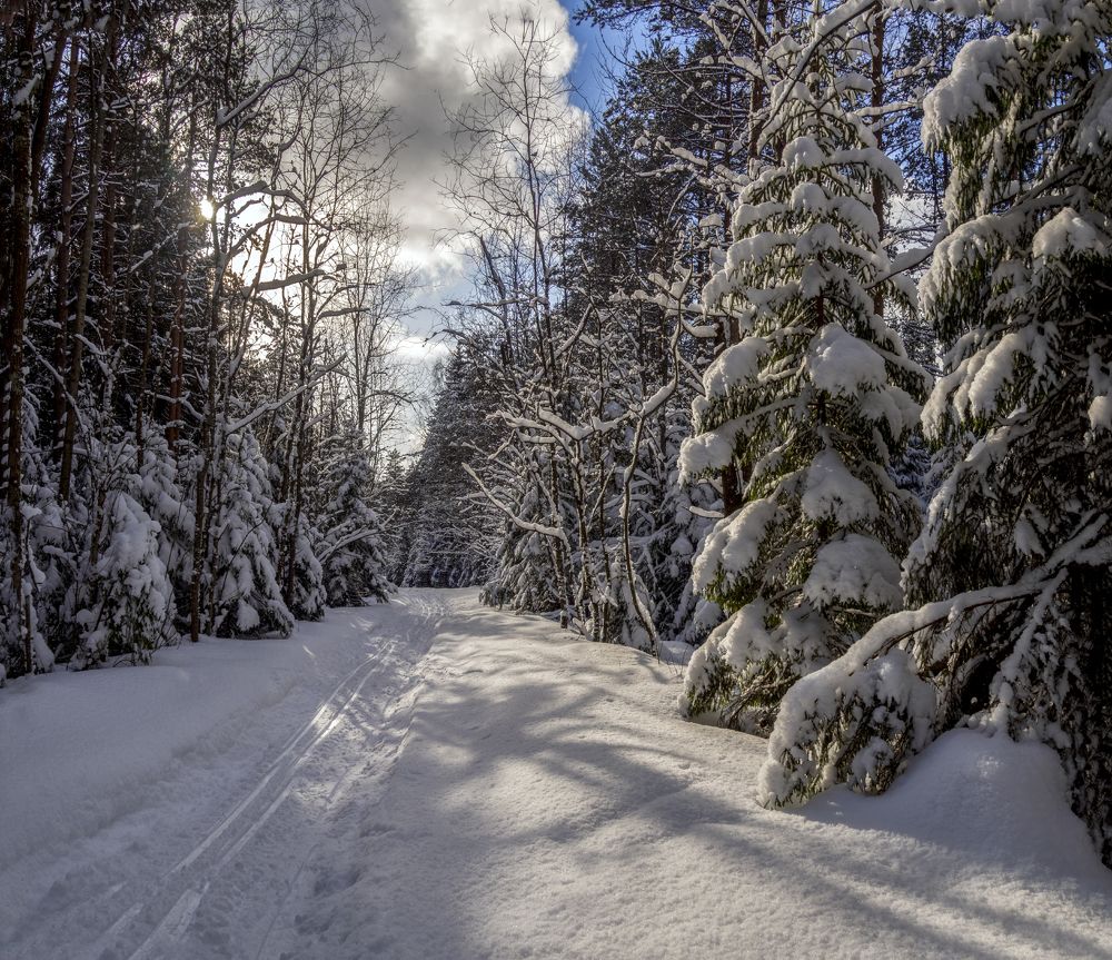 Photograph by Ольга Якшина