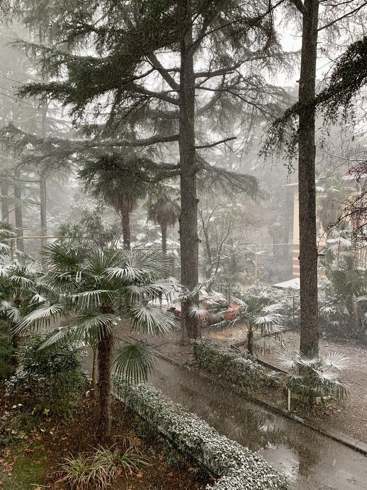 Photograph by Александра Тимошенко