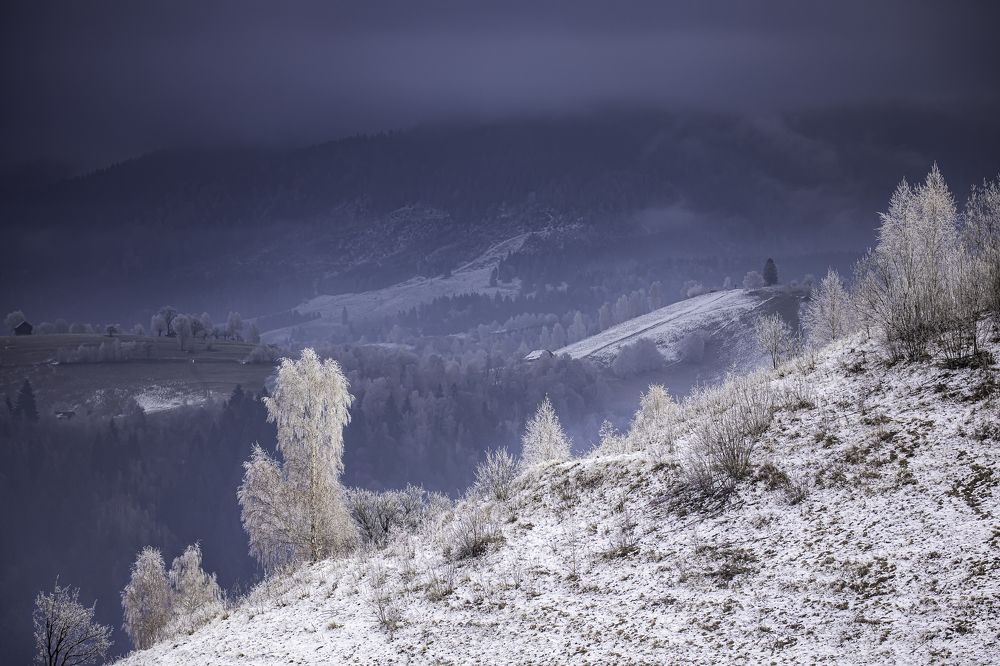 Photograph by Adrian Grigore