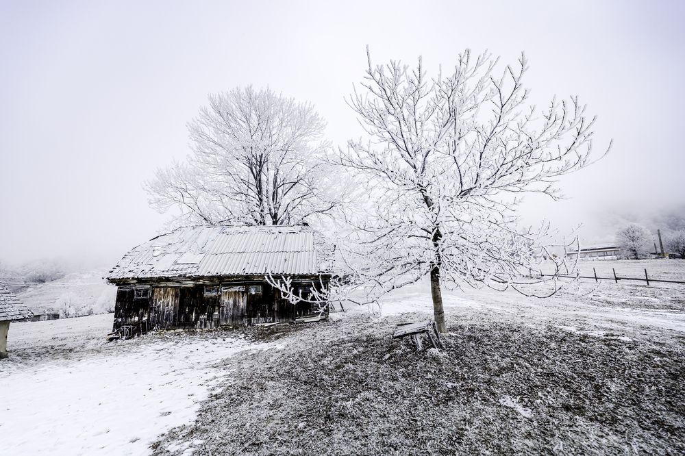 Photograph by Adrian Grigore