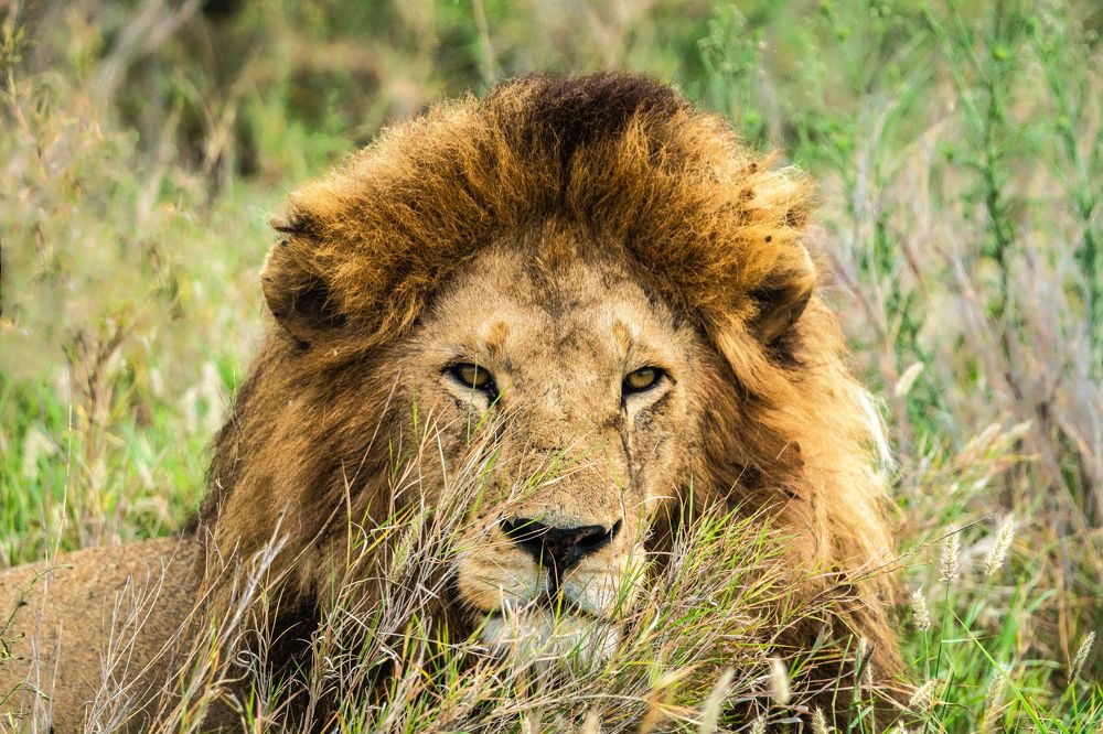 Photograph by Adrian Grigore