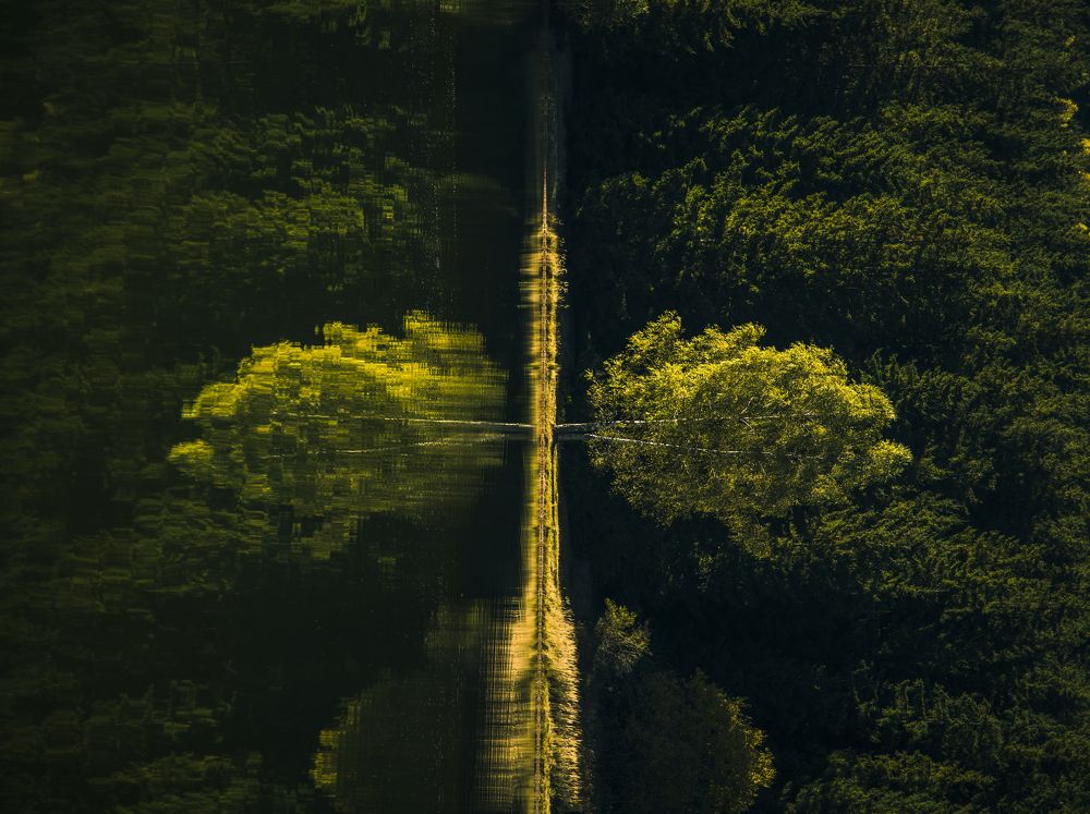 Photograph by Adrian Grigore