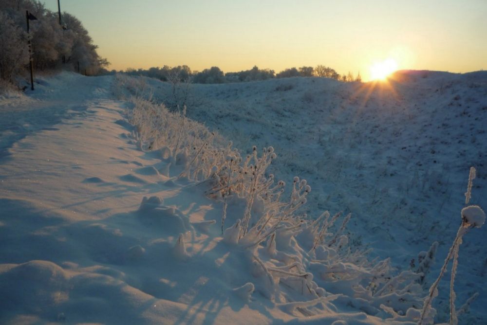 Photograph by Людмила