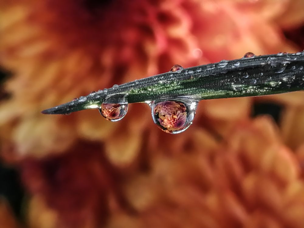 Photograph by Надежда Алешечкина