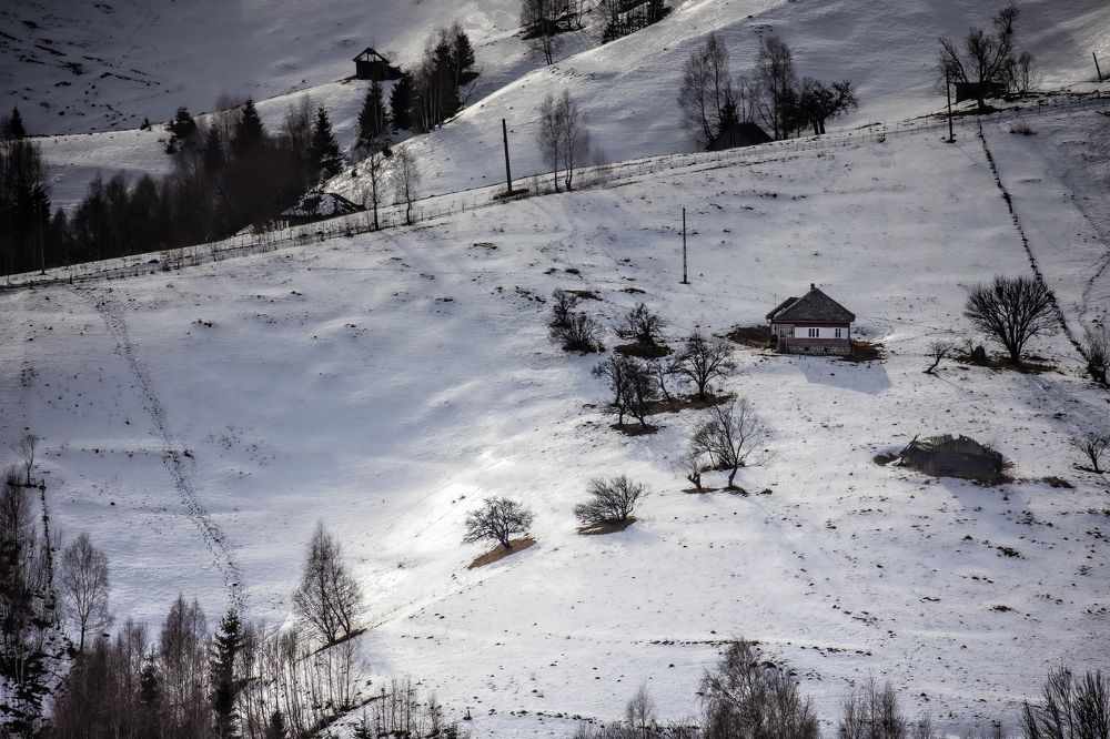 Photograph by Adrian Grigore