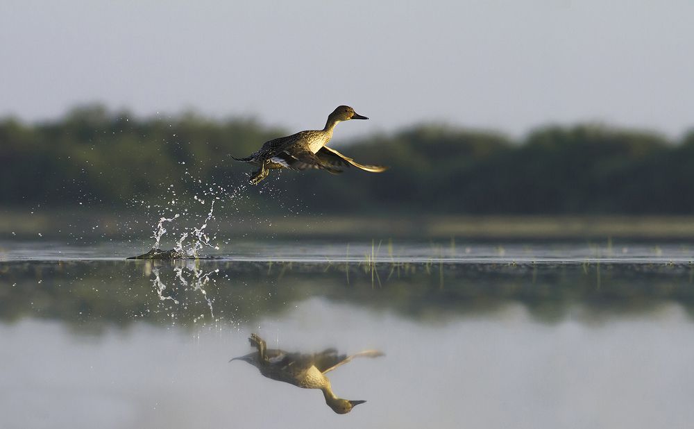 Photograph by Harsha Matarage