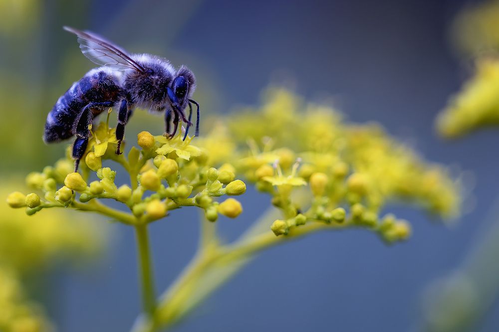 Photograph by Хижняк Александр