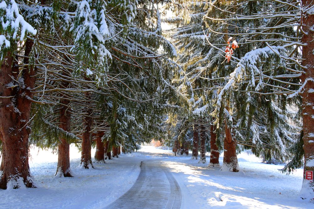 Стражи миропорядка