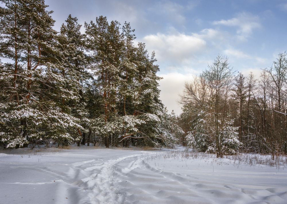 Фотография автора Валерий Лушин