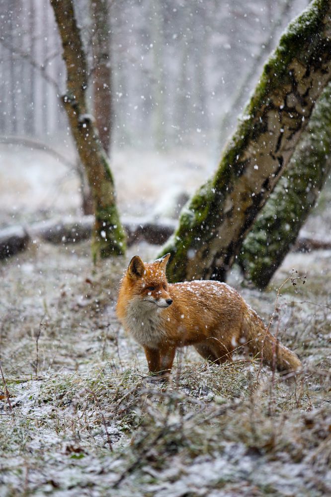 Photograph by Anastasia