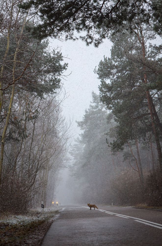 Photograph by Anastasia