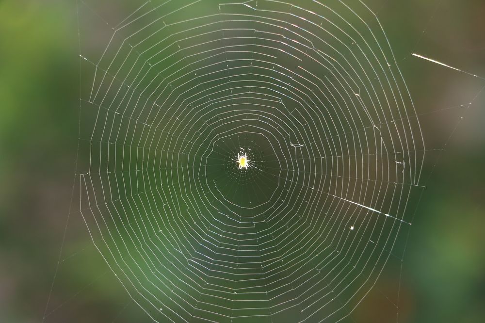 Photograph by Cengiz Yalcin