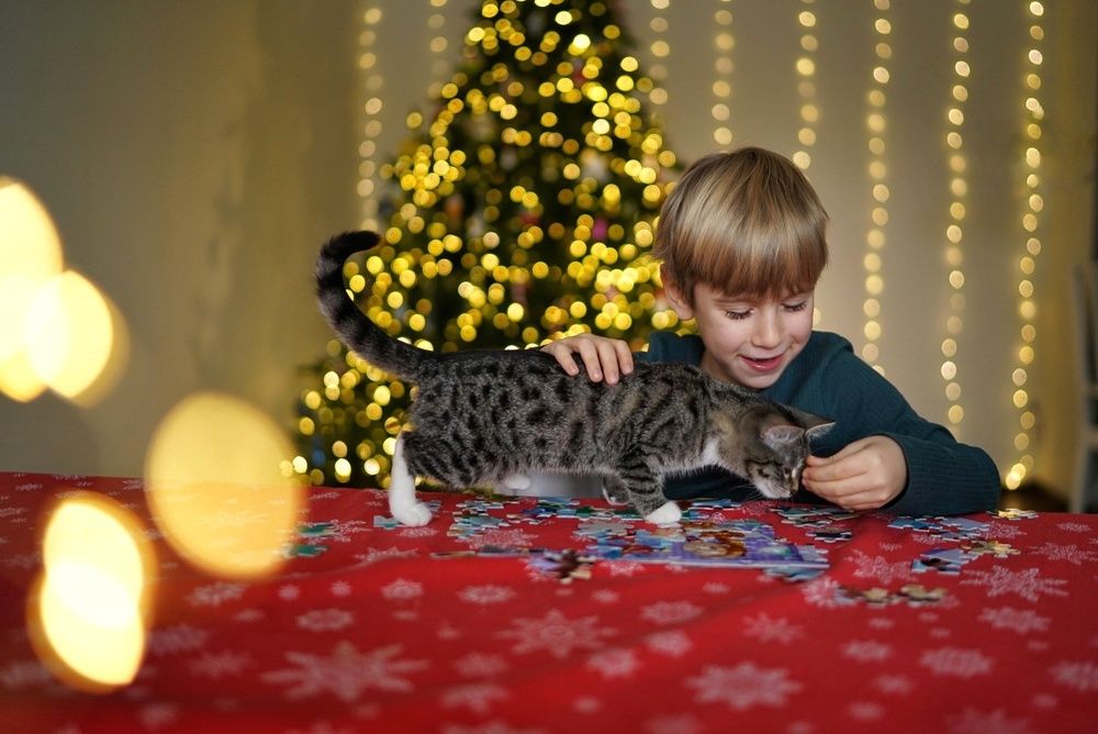 Photograph by Юлиана