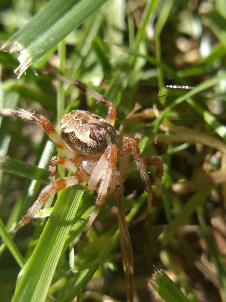 Photograph by Наташа Черепенина