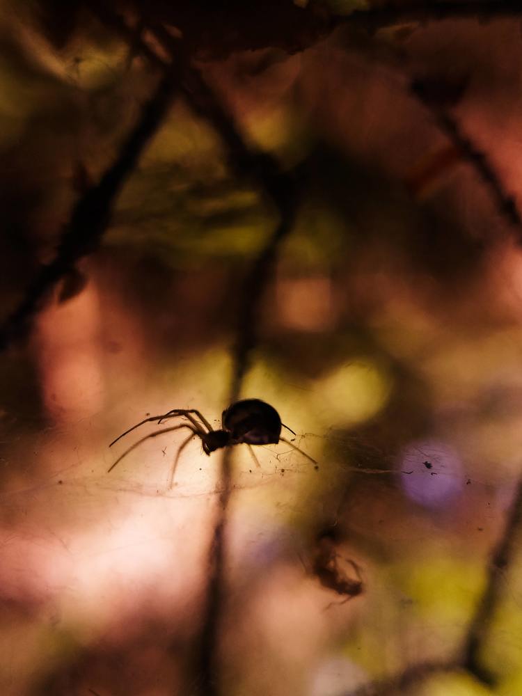 Photograph by Наташа Черепенина