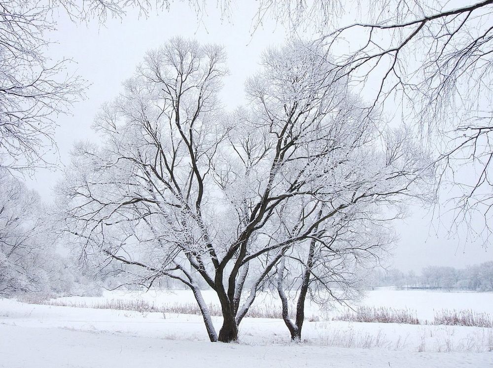 Photograph by Игорь Меньшенин