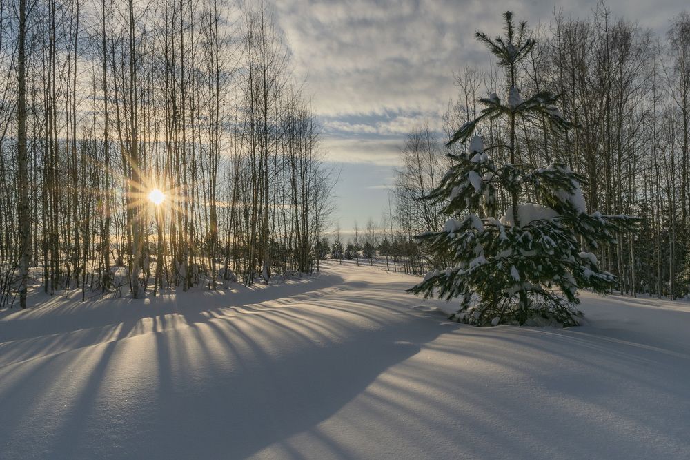 Фотография автора Галина Луценко