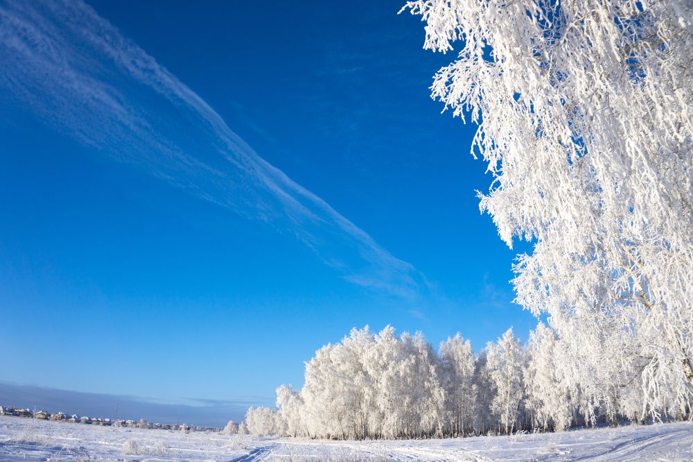 Photograph by Dina Abubakirova