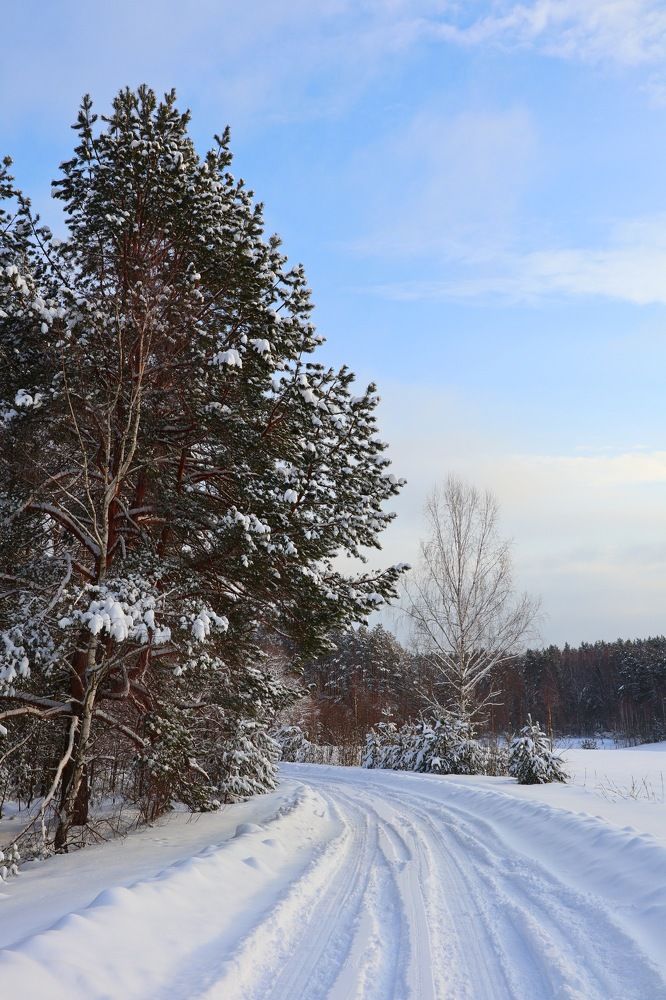 Photograph by Елена Ивкина