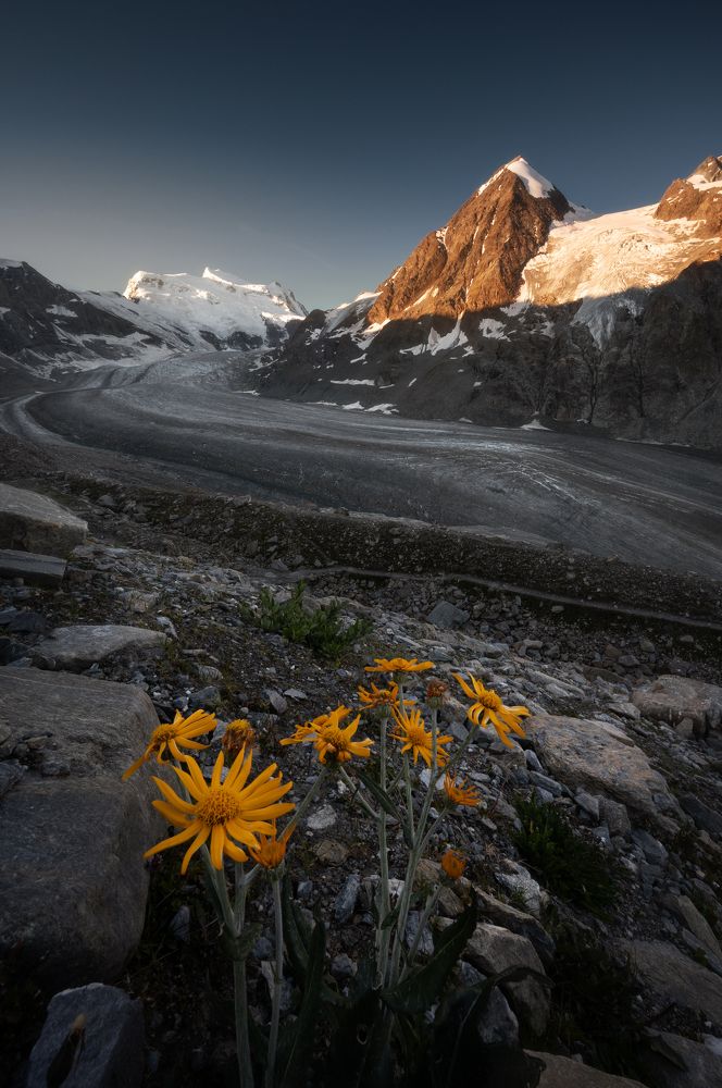 Photograph by David Dunand